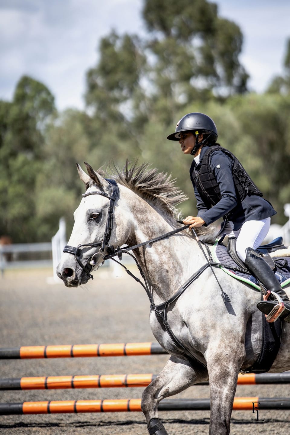 Customer photo review of PSOS Breastplate Tokyo
