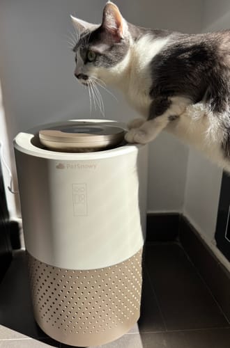 Customer photo review of Pet Air Purifier