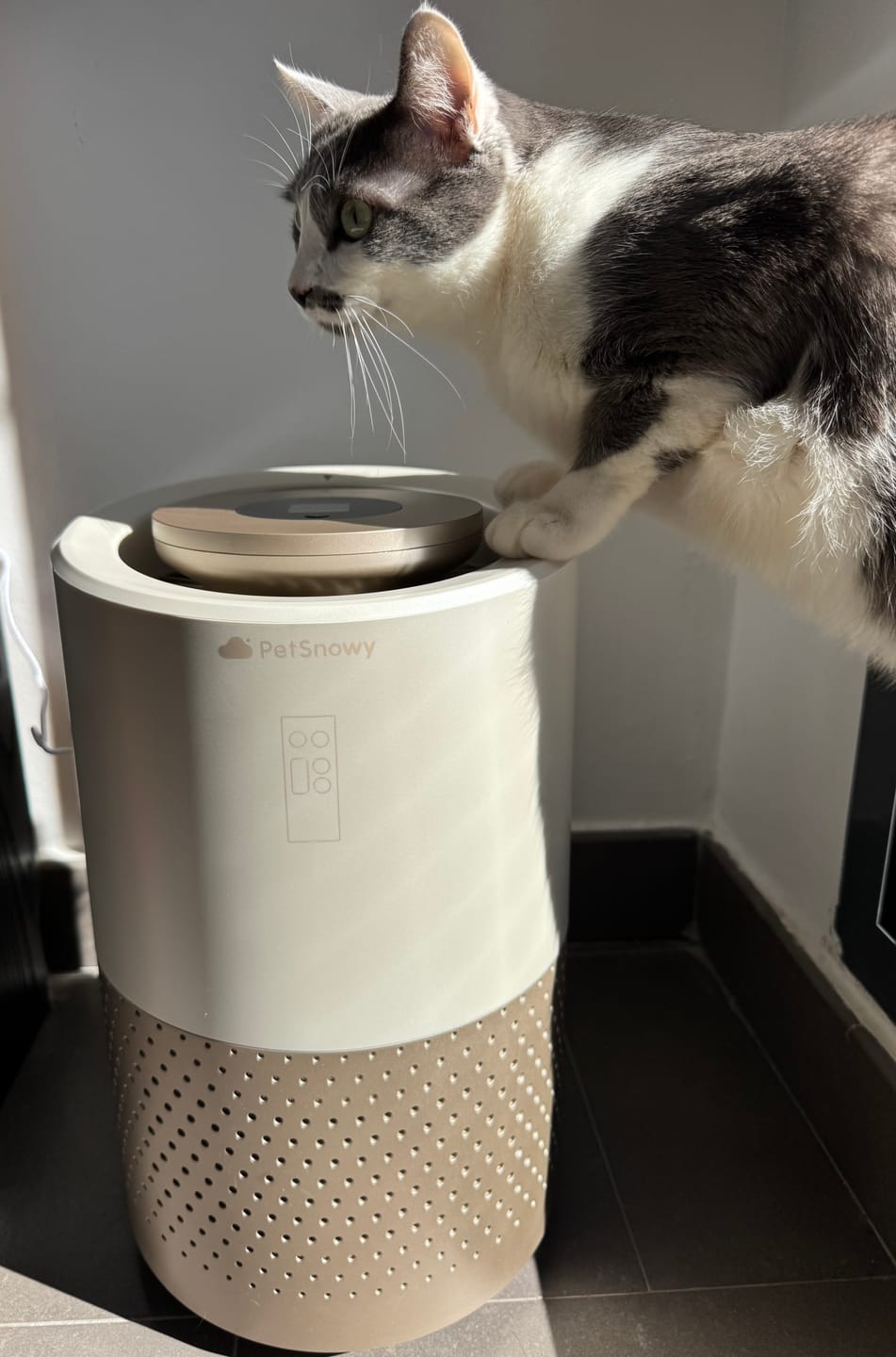 Customer photo review of Pet Air Purifier