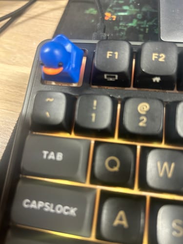 Customer photo review of Duckey Keycap