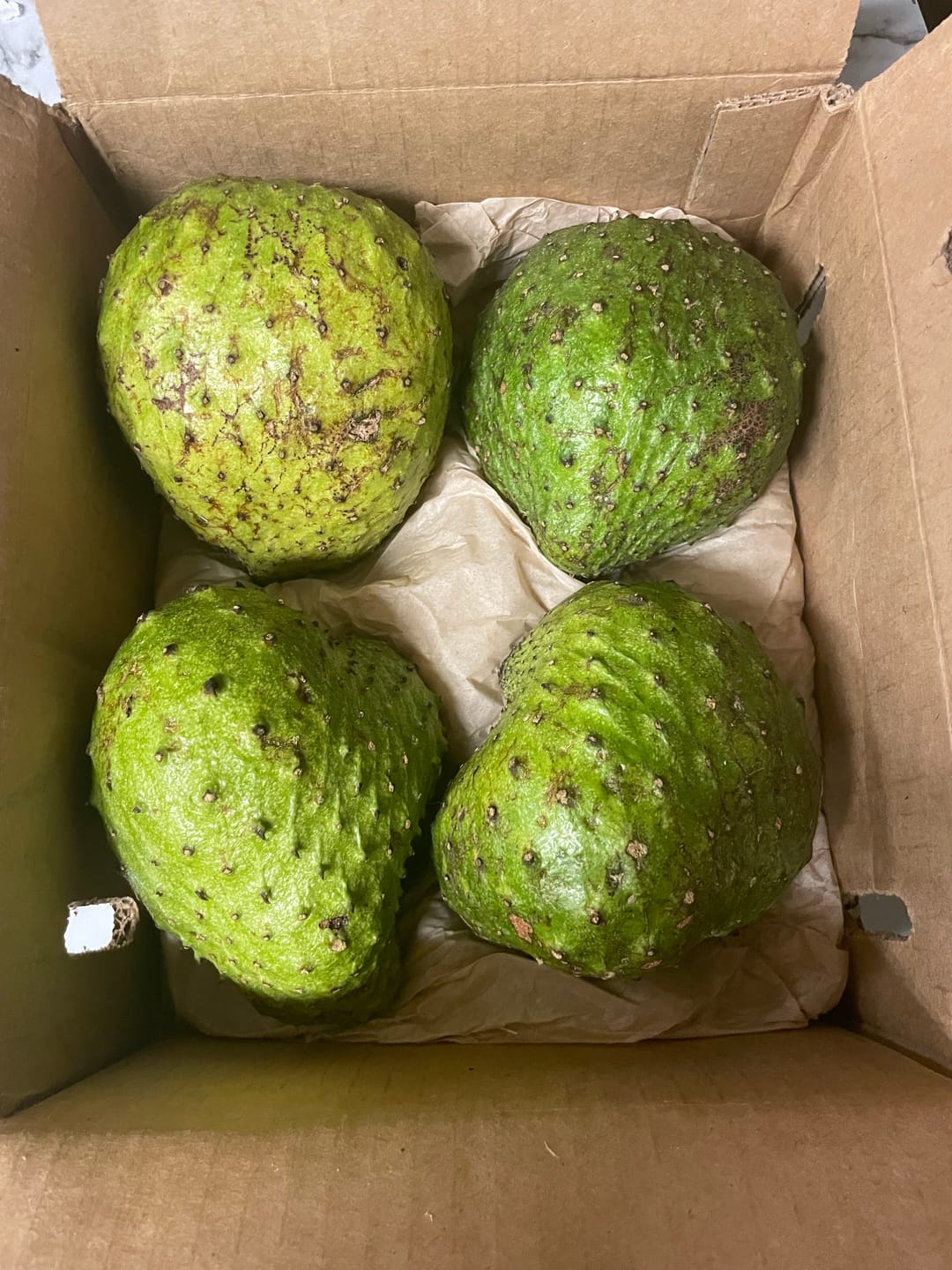 Customer photo review of Premium Soursop (Guanabana)