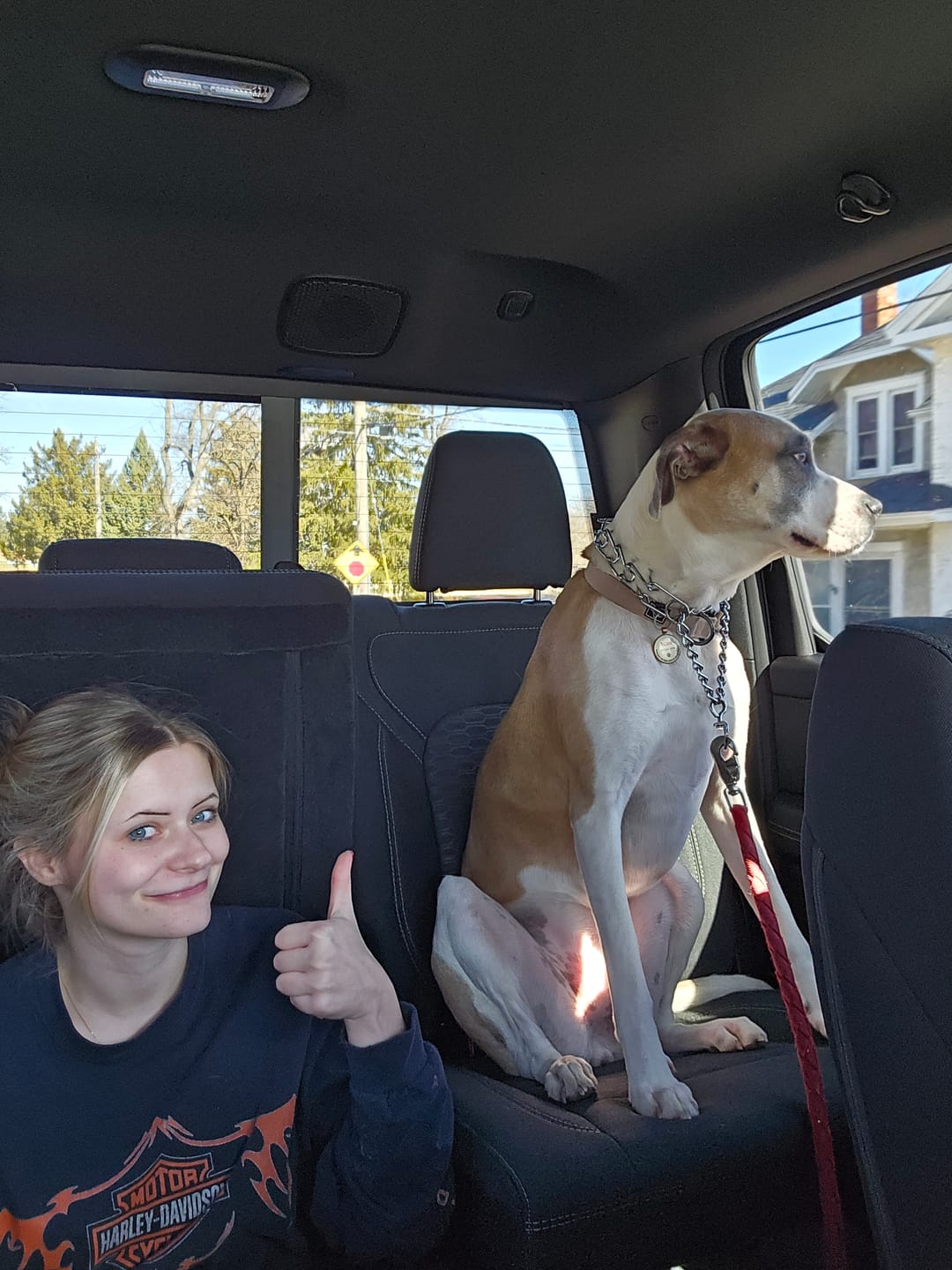 Customer photo review of Floor Hammock for Crew Cab Trucks - Driver Side