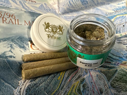Customer photo review of Panama Red Flower