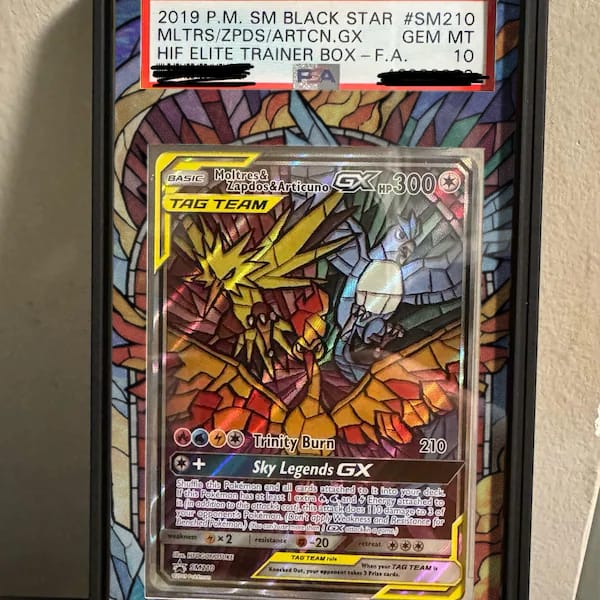 Customer photo review of Moltres Zapdos Articuno GX SM210 Promo Extended Art Display Cases