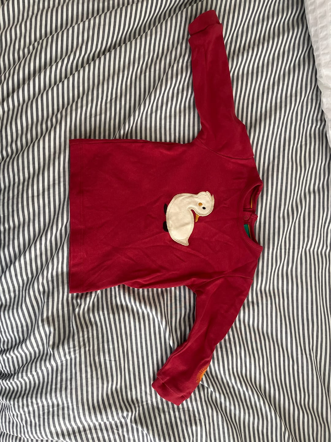 Customer photo review of Duckling Applique Long Sleeve T-Shirt