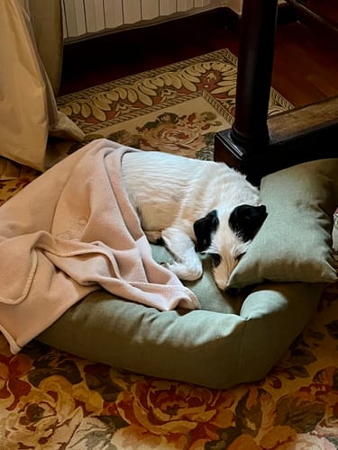 Customer photo review of Divanetto Mattias Verde chiaro (Soft Touch)