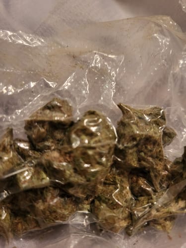 Customer photo review of Gorilla Glue - Bulk - Indica