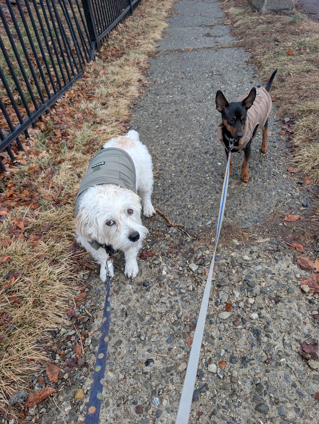 Customer photo review of WarmShield Water-Resistant Jackets