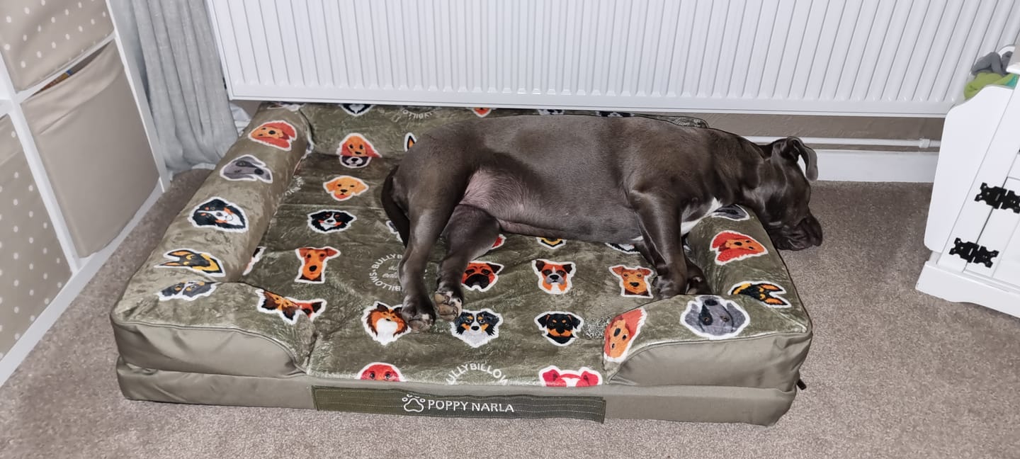 Customer photo review of Free Personalisation