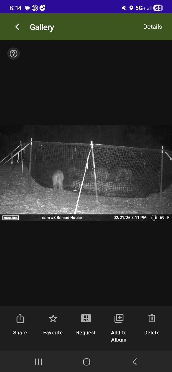 Customer photo review of Pig Brig Trap System