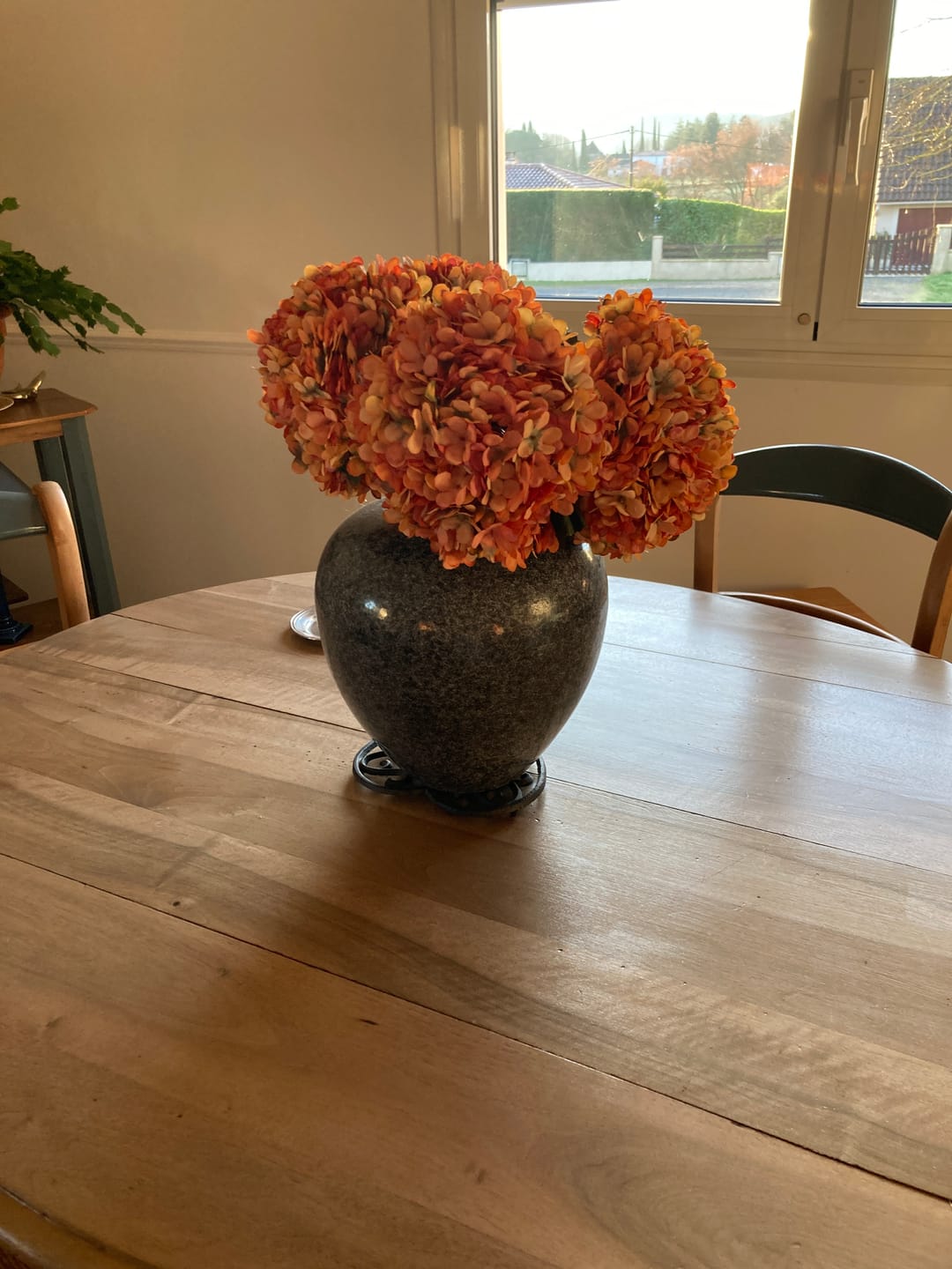 Customer photo review of Grande Hortensia (5 tiges) - Orange