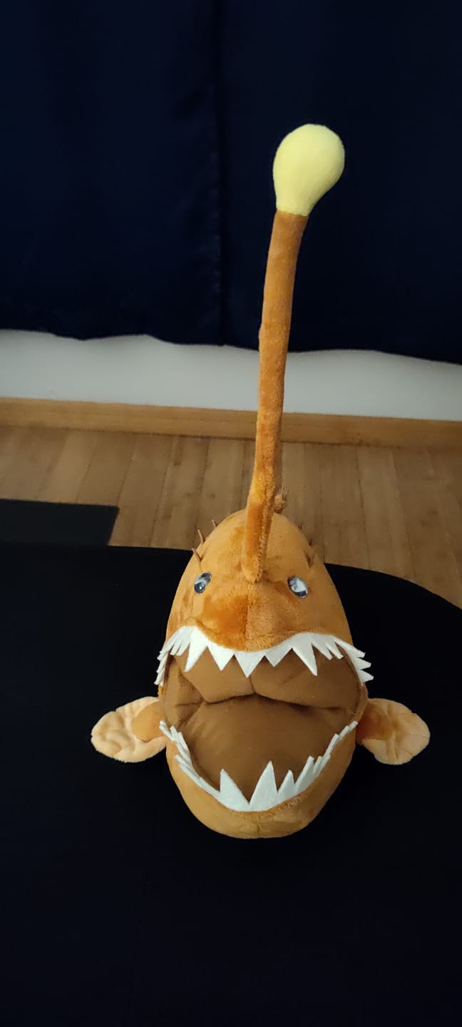 Customer photo review of Anglerfish Soft Stuffed Plush Toy