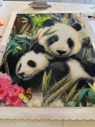 Customer photo review of Diamond Painting - Surprise Picture