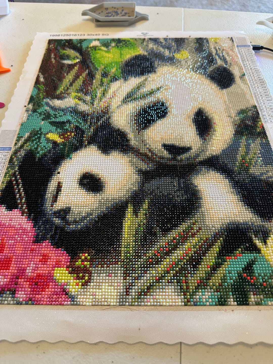 Customer photo review of Diamond Painting - Surprise Picture