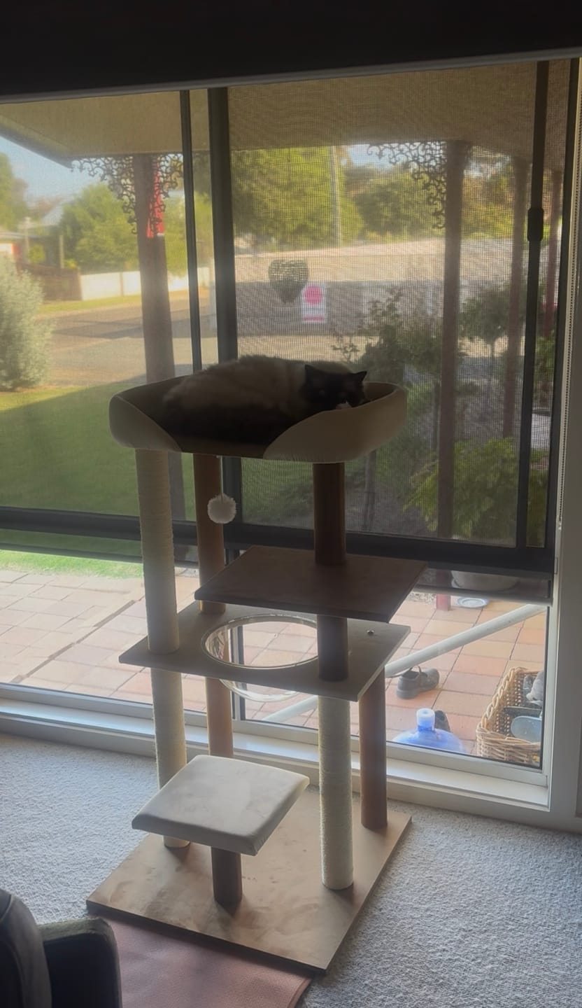 Customer photo review of Luxury Japanese-Style Cat Tree with Large Bed – 90906