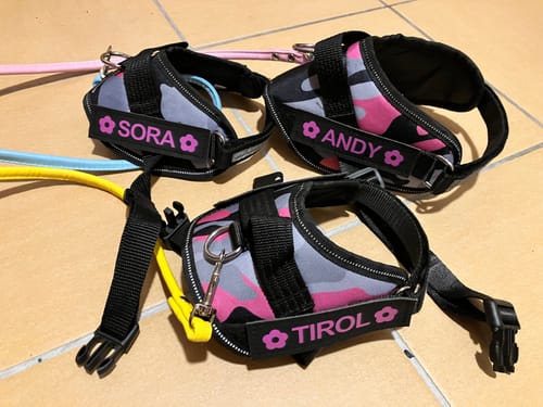 Customer photo review of FunFunPet 高機能ハーネス（お名前タグ作成サービス付き）