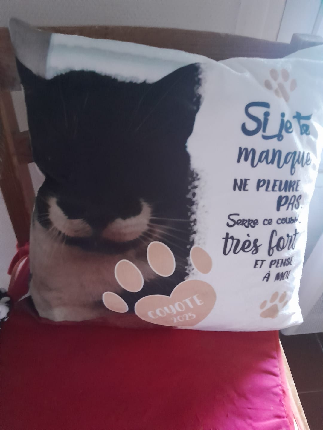 Customer photo review of Si je te manque - Coussin personnalisé