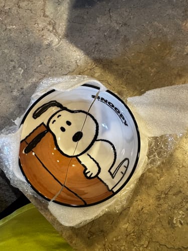 Customer's broken Peanuts Snoopy Ceramic Bowl, cracked in two inside its packaging.