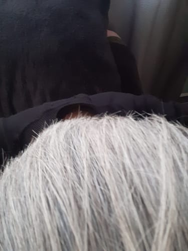 Customer photo review of Duo Platinum - Platina el cabello al instante- JEHESMIPA