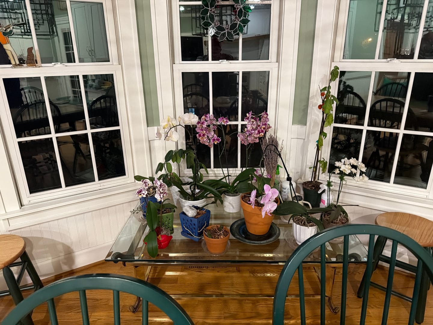 Customer photo review of Elm Power Bundle