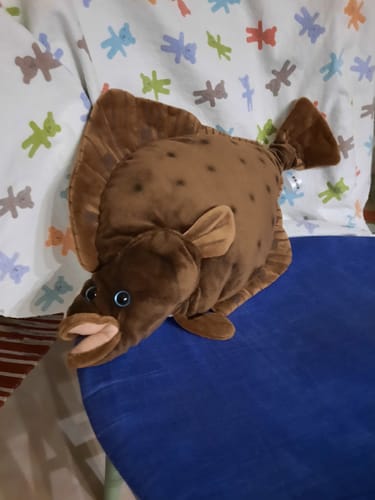 Customer photo review of Realistic Flounder Flatfish Plush Toy – Soft and Adorably Lifelike
