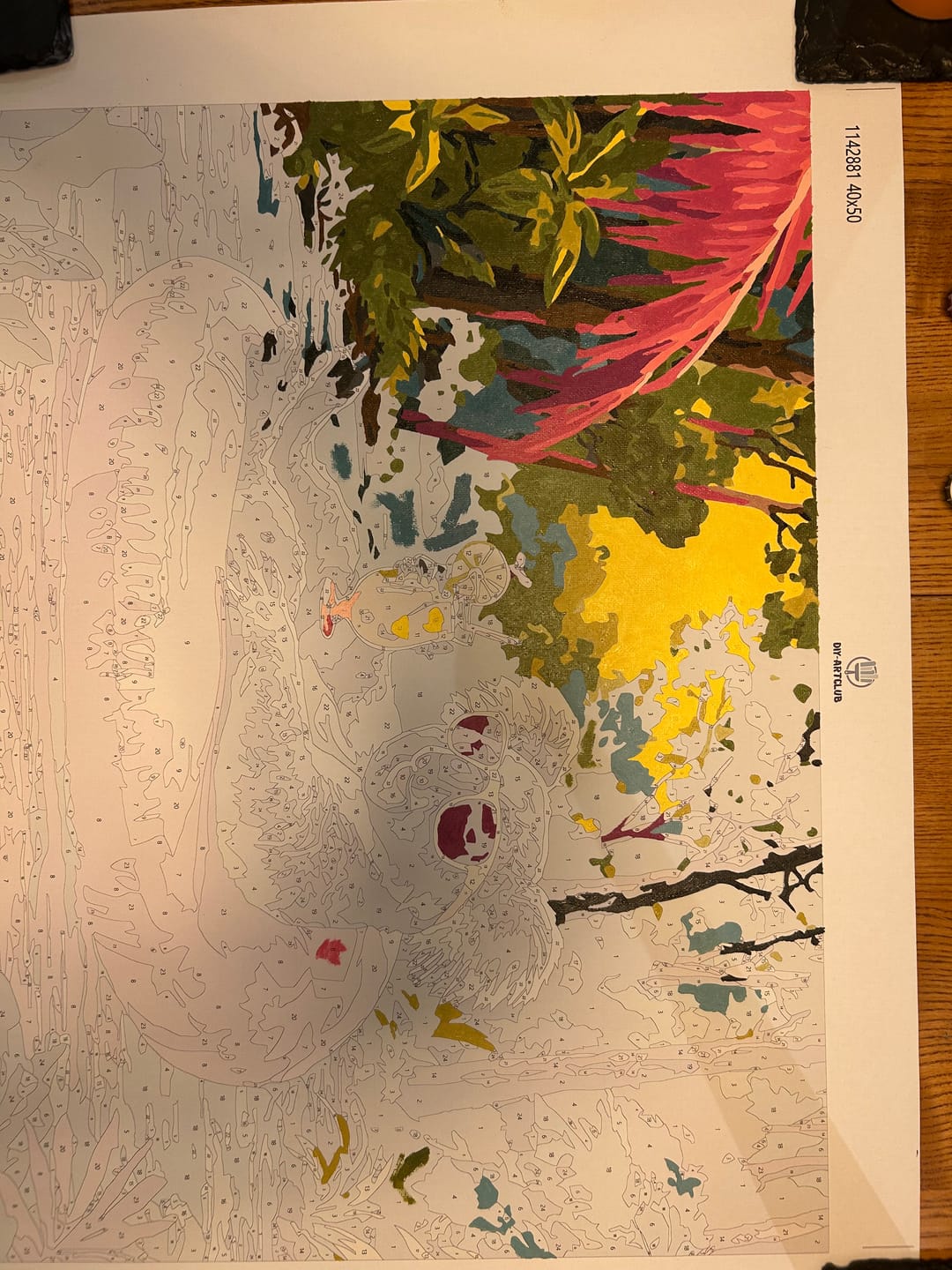 Customer photo review of Cool Koala | Paint by Number