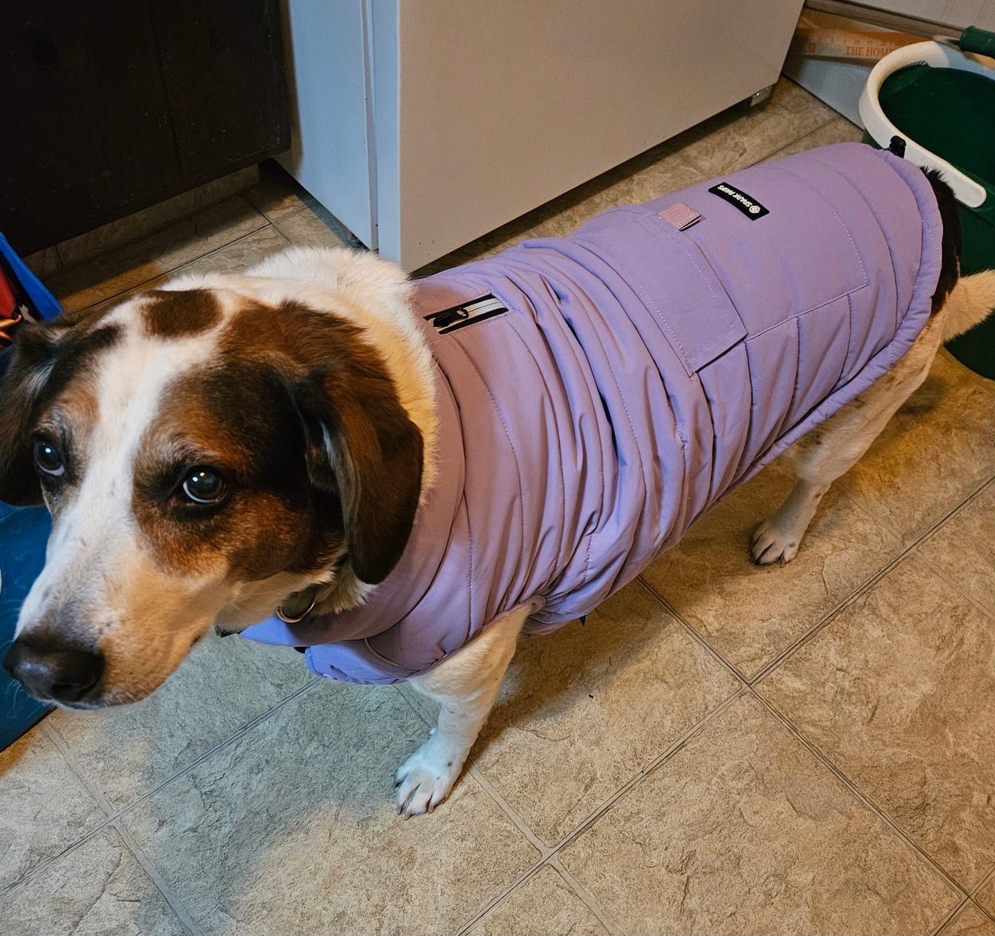 Customer photo review of WarmShield Water-Resistant Jacket - Lilac