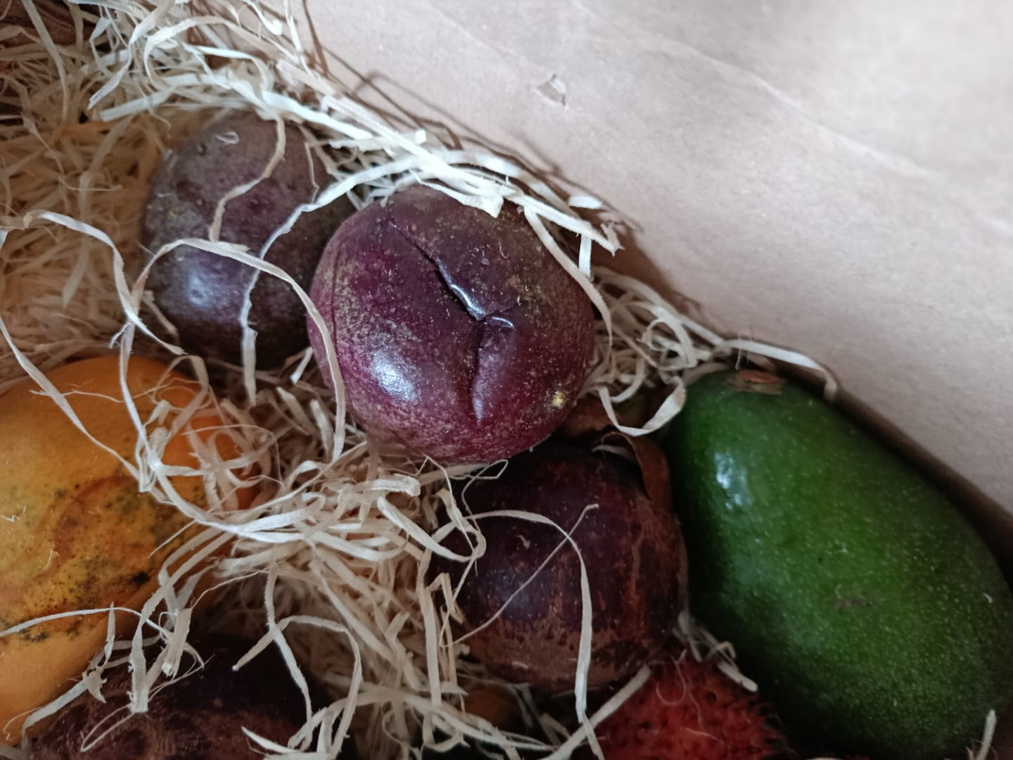 Customer photo review of Obstbox „Tropisches Weekend“