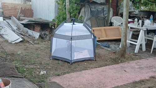 Customer photo review of Carpa Outdoor Clik con Estacas