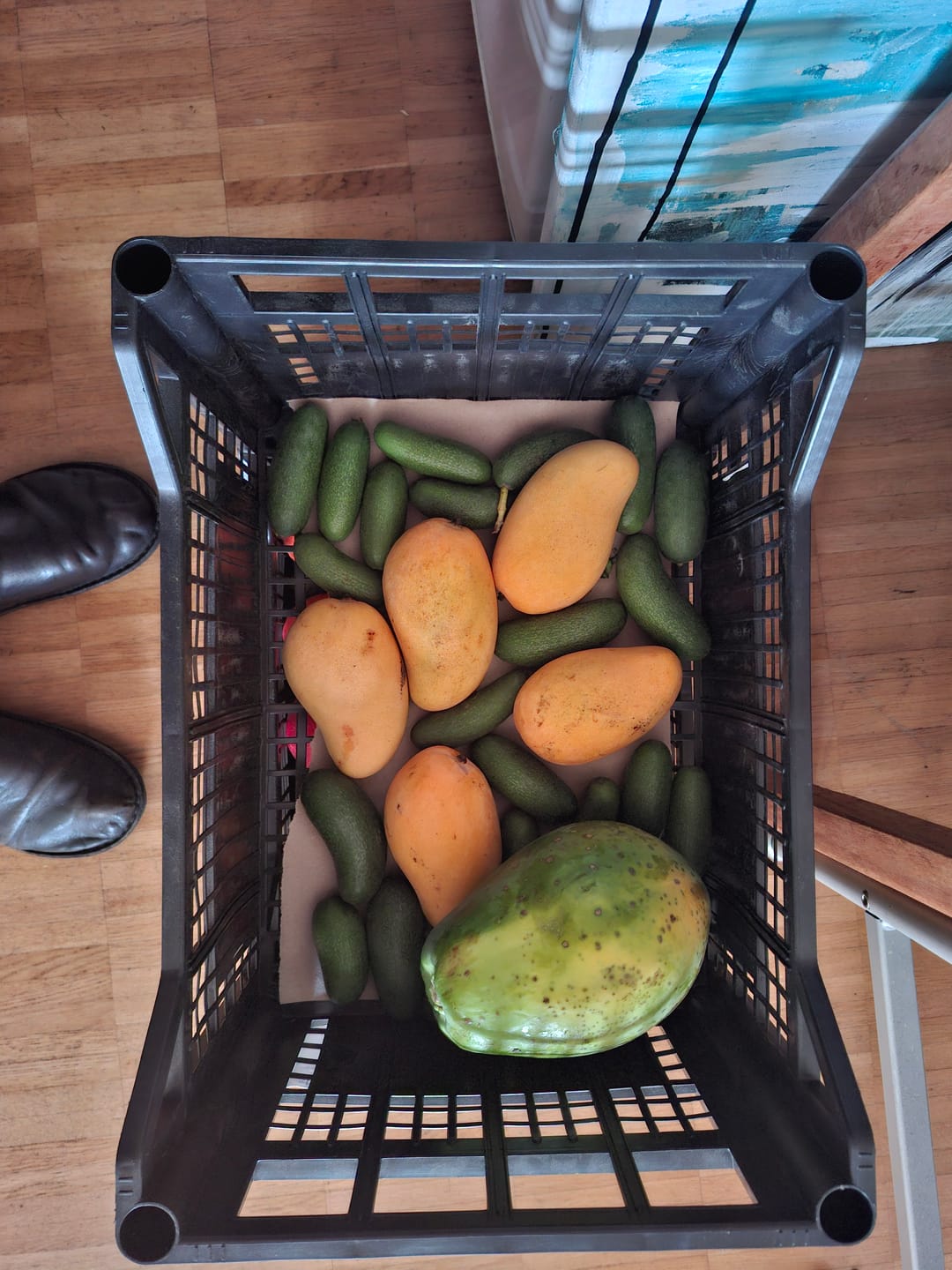 Customer photo review of Mango Honig „Ataulfo“ Bio von Joe Roman baumgereifte Flugware