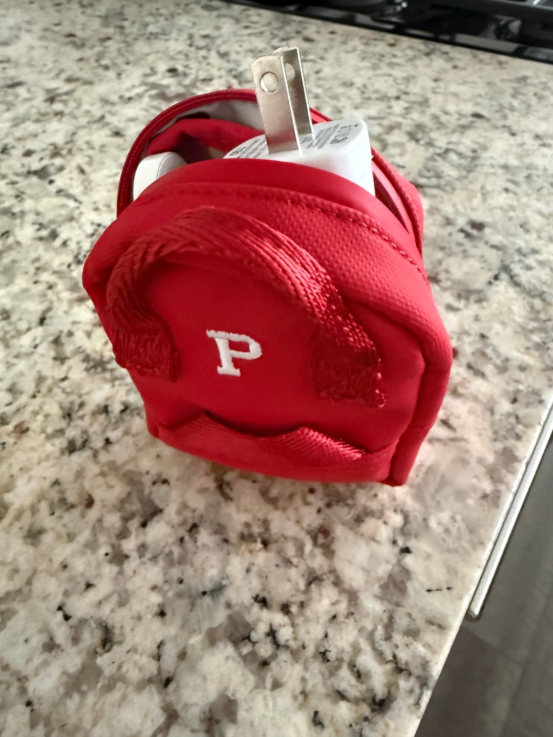 Customer photo review of Cascade Bag Charm