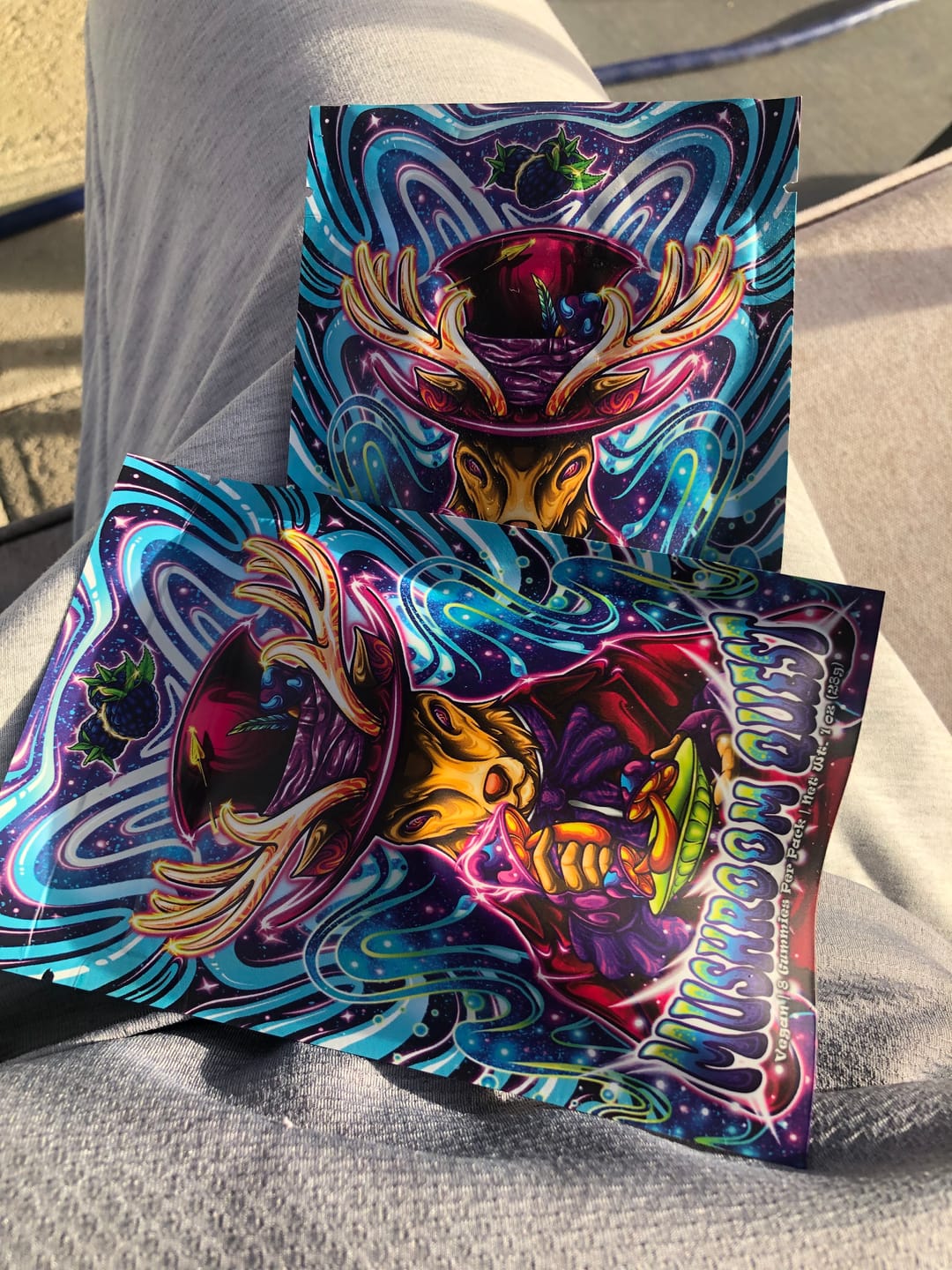 Customer photo review of Mushroom Quest