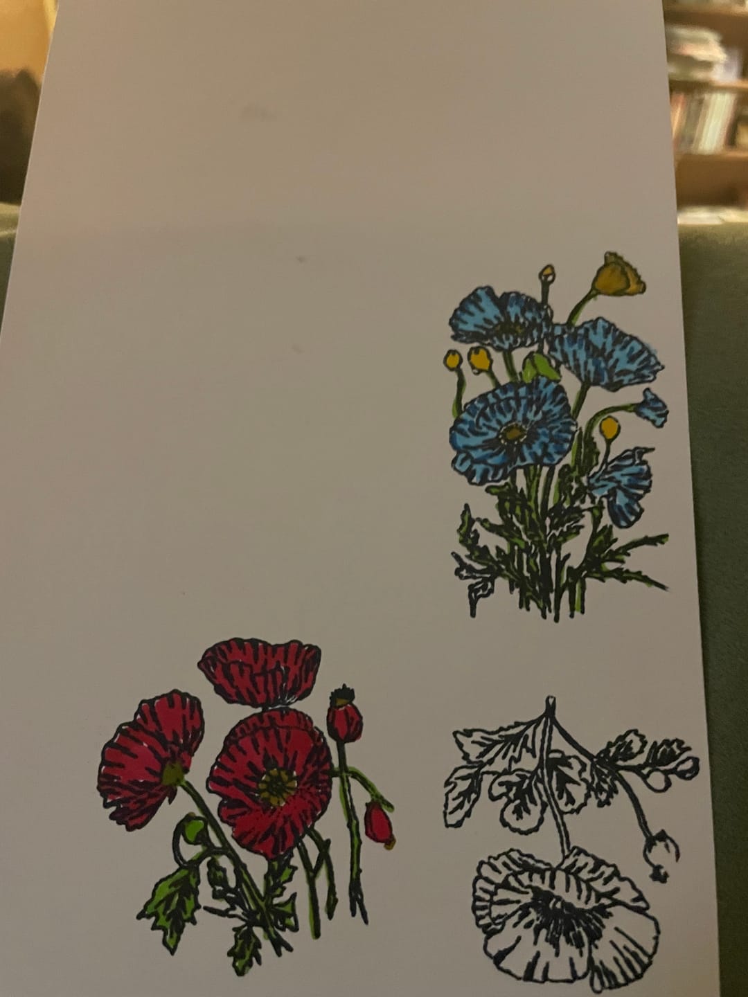 Customer photo review of Ohuhu Kaala Dual Tips Alcohol Art Markers- 60 Colors Illustrations