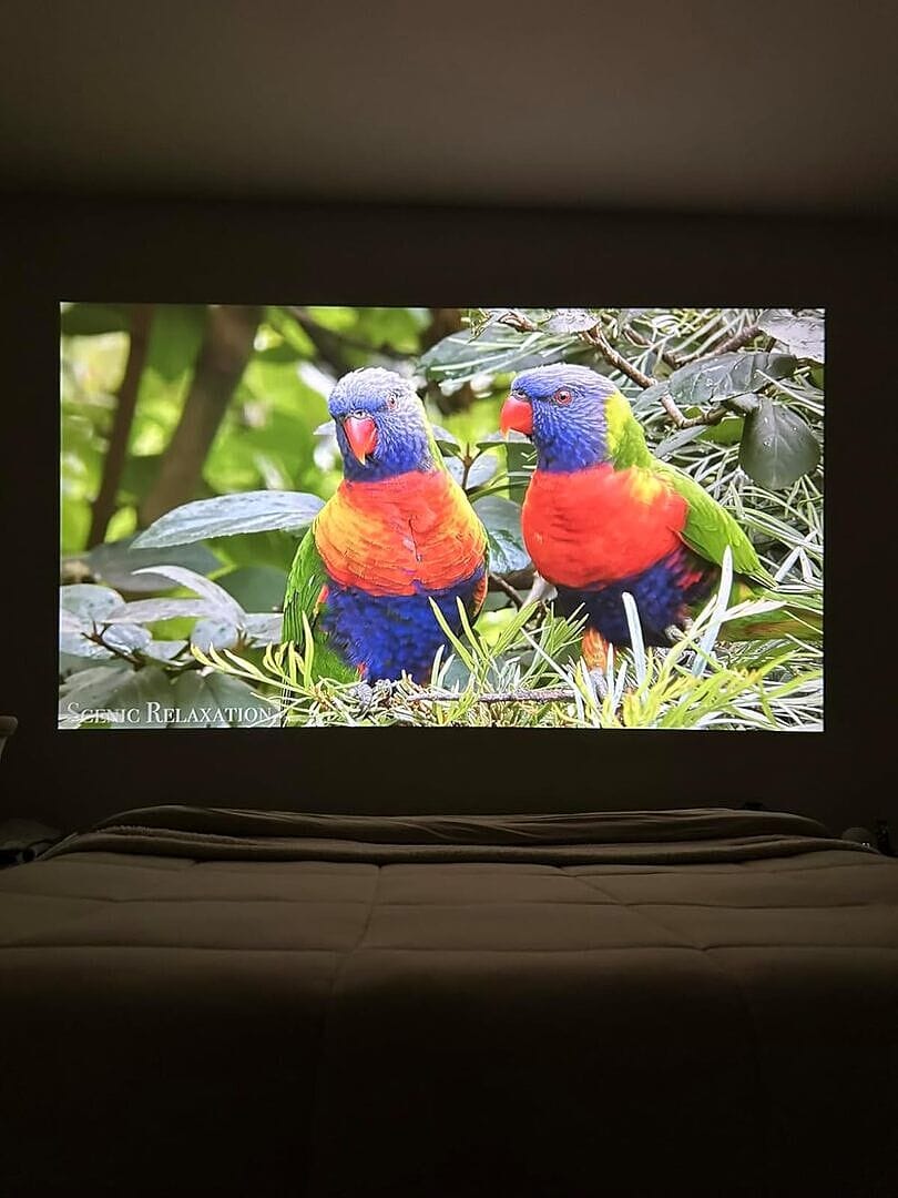 Customer photo review of Zoomly® Pro Max Smart Projector