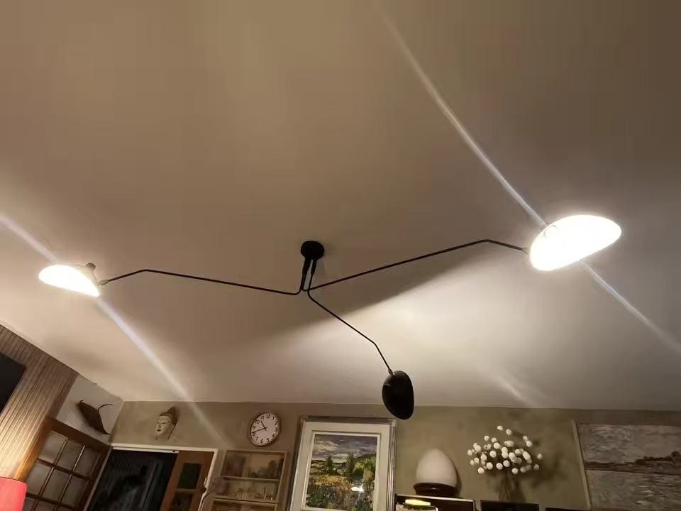 Customer photo review of WOMO Arms Semi-Flush Mount Light-WM2057