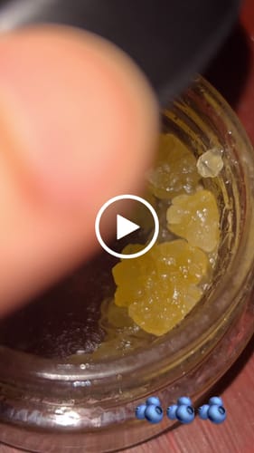 Customer video review of Blueberry | Live Resin Diamonds