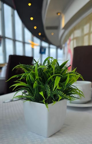 Customer photo review of Brunch