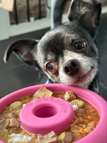 Customer photo review of The Pink Bundle