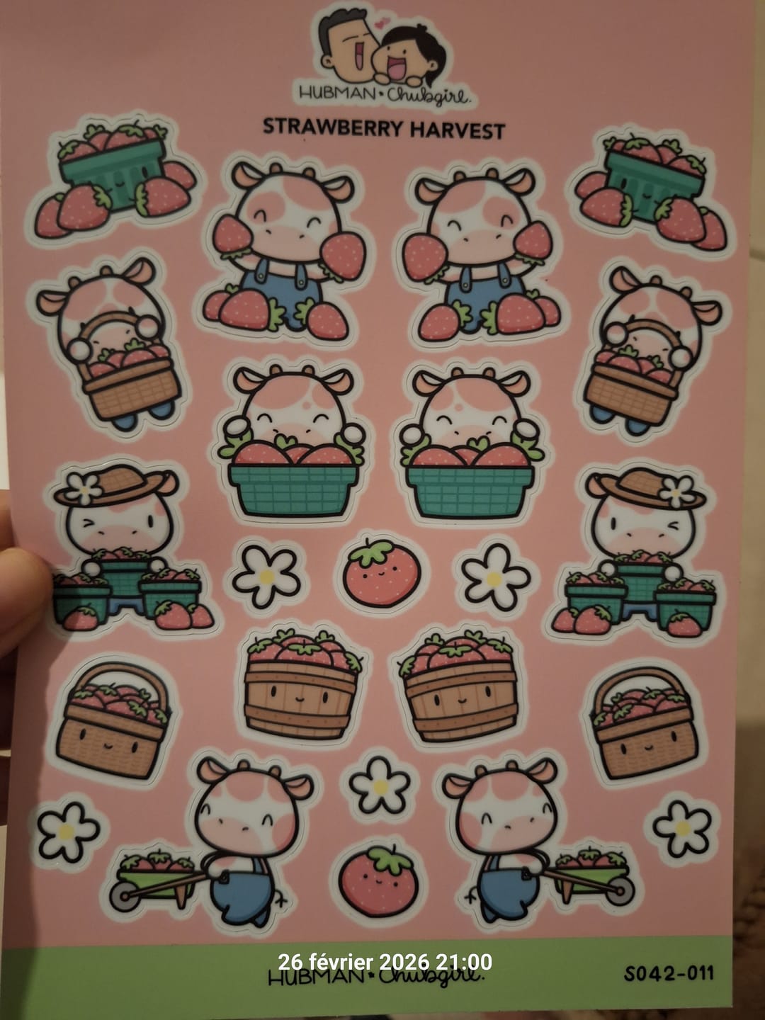 Customer photo review of Strawberry Harvest Sticker Sheet