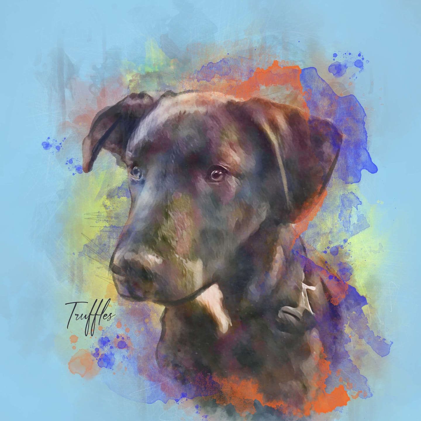Customer photo review of Custom Watercolor Pet Portrait - Top Pick