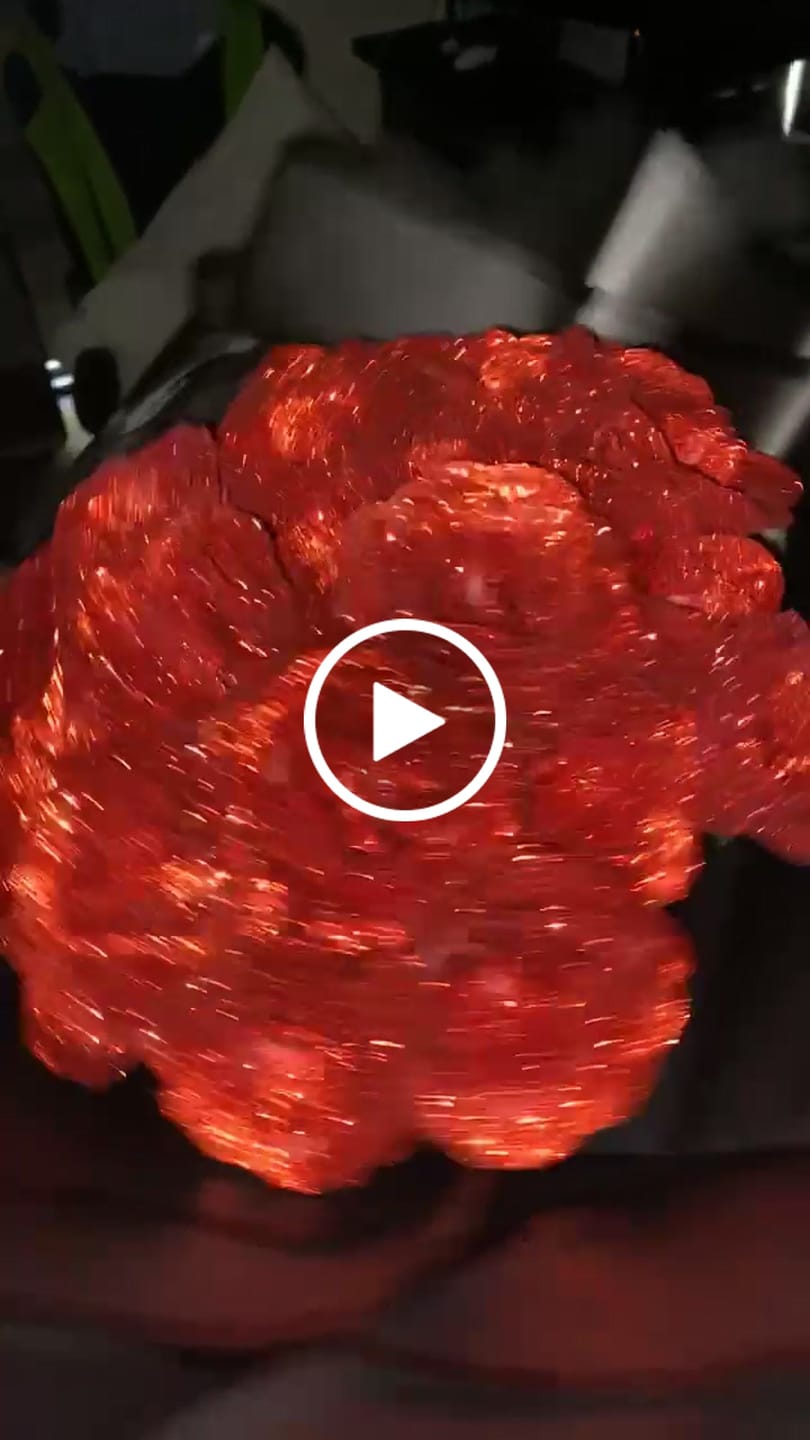 Customer video review of Rush My Order
