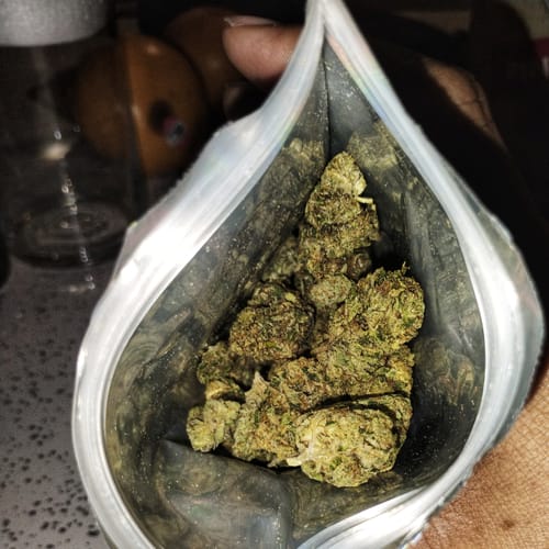 Customer photo review of Blueberry Syrup - 28 Grams - Indica