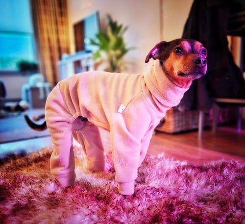 Customer photo review of Fleece Full-Body Cozy Suit