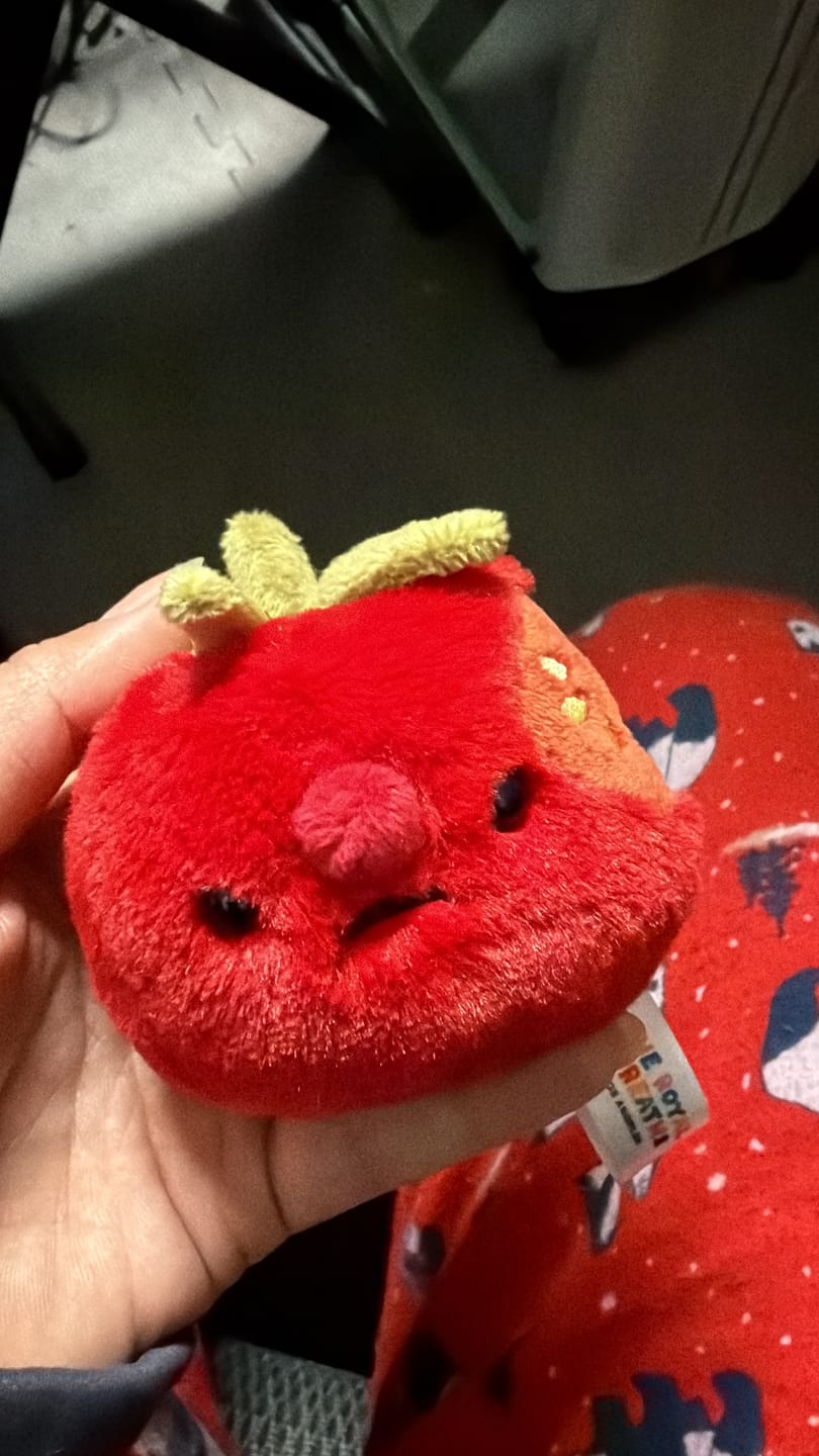 Customer photo review of Forgotten Bitten Tomato (Pre-order for mid of Feb)
