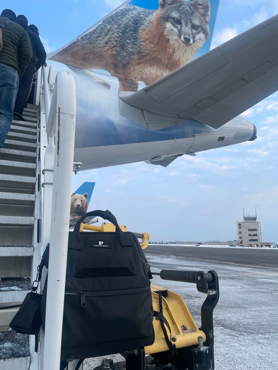 Customer photo review of Travel Wallet