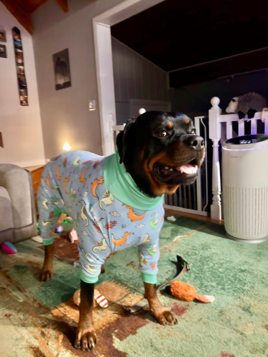 Customer photo review of Dog Pajama - Dragons