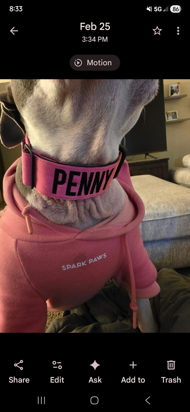 Customer photo review of Matching Pink 6' Bully Proof Leash