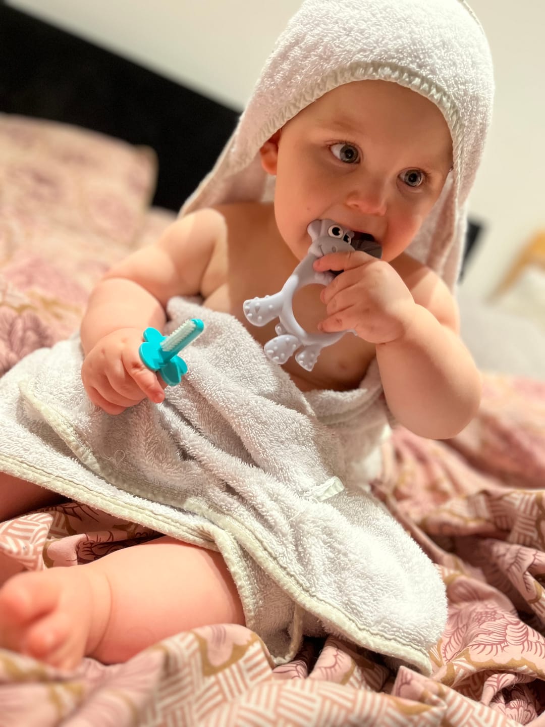 Customer photo review of Dotty the Dinosaur™: Teething Toy
