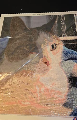 Customer photo review of Custom Diamond Painting Kit