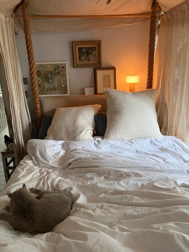 Customer photo review of Replacement Auríe Portable Lamp